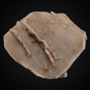 Minerals Archives - Collectors Edge